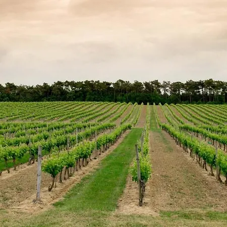 La Petite Maison * Villeneuve-de-Duras