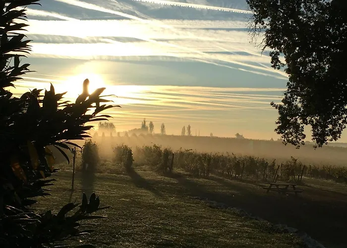 Maisonnette Au Coeur D'un Vignoble Vakantiehuis *